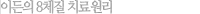 이든의 8체질 치료원리