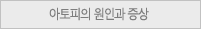 아토피의 원인과 증상